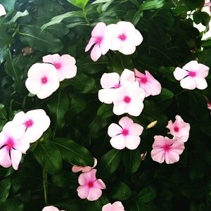 Meet your Posher, Ruby